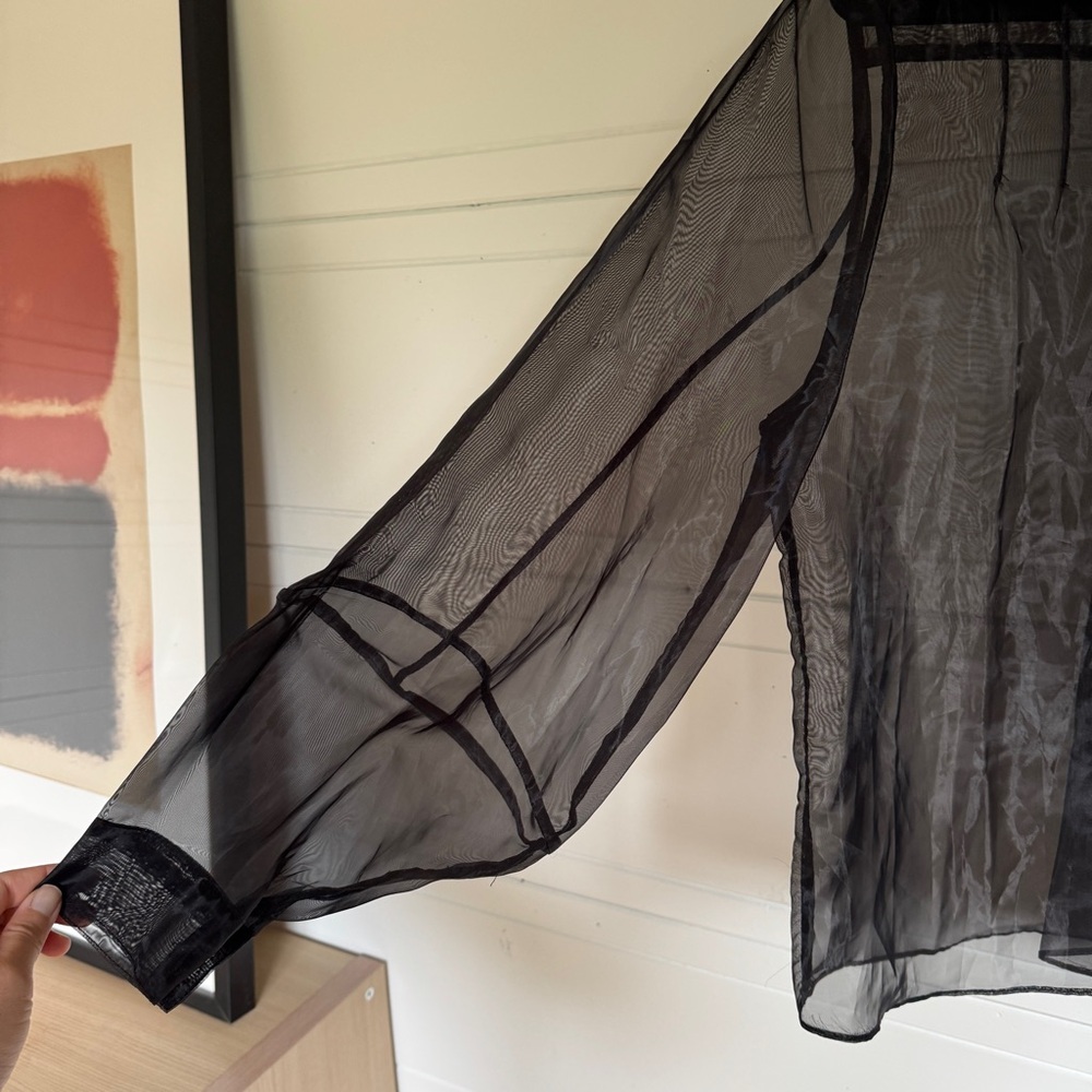 Black Sheer Button Down Blouse - image 5